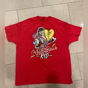 Sean Michaels WWE men’s 2XL tshirt